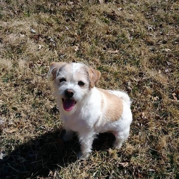 1st Posh LIVE Now!!! FOLLOW GAME! 400K Followers!!! ✨💖🔮 - Picture 8 of 17